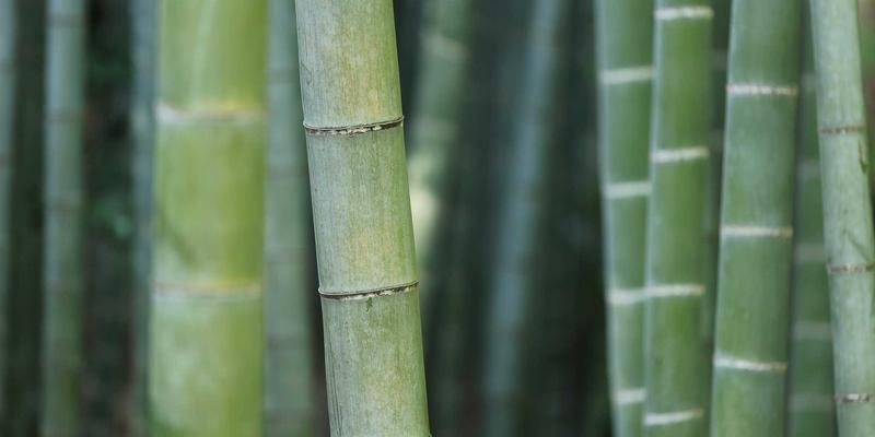 KLTE品质如何炼成？揭秘极端温湿度与振动测试下的可靠性验证体系