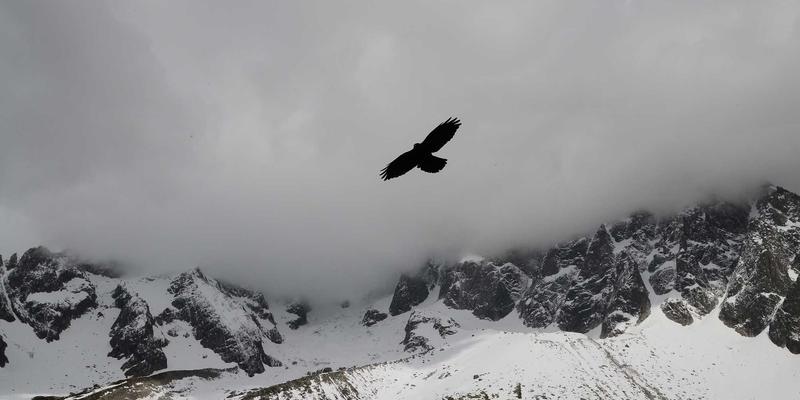 从“一次性”到“可持续”:KLTE如何通过可维修性设计重塑产品品质与竞争力