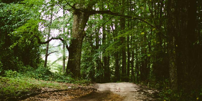 从数据到决策：KLTE品质管理中SPC统计过程控制的实战应用与ISO认证价值