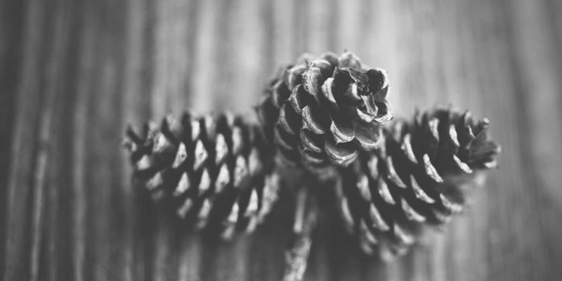 从标准到感知:KLTE品质如何借力人因工程学与ISO认证重塑卓越用户体验