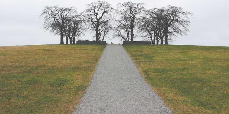 从用户口碑解码KLTE品质:一份基于真实反馈的质量关键词分析报告